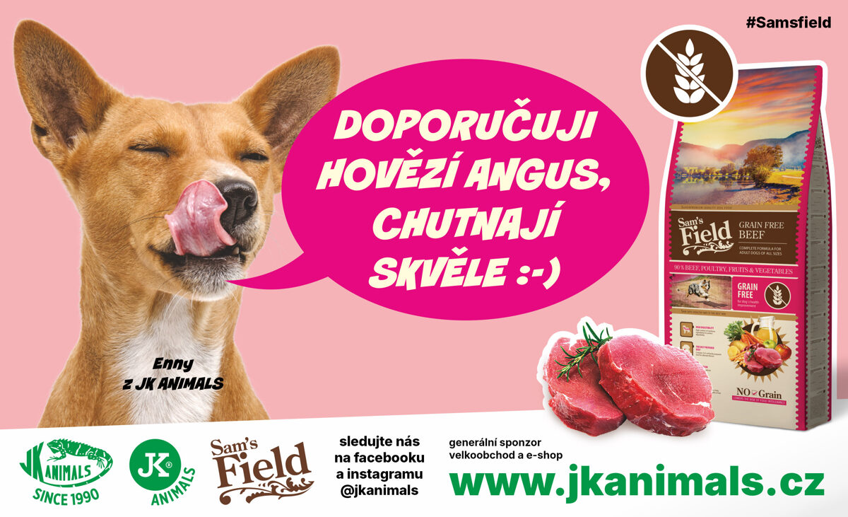 banner-sams-field-grain-free-beef.jpg